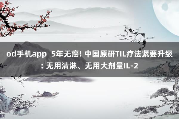 od手机app  5年无癌! 中国原研TIL疗法紧要升级: 无用清淋、无用大剂量IL-2