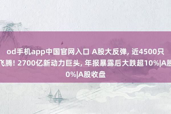 od手机app中国官网入口 A股大反弹， 近4500只个股飞腾! 2700亿新动力巨头， 年报暴露后大跌超10%|A股收盘