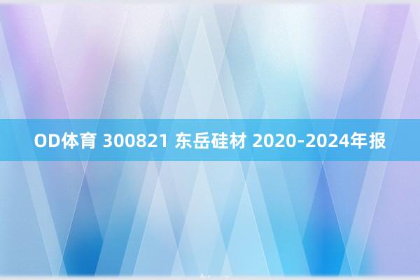 OD体育 300821 东岳硅材 2020-2024年报
