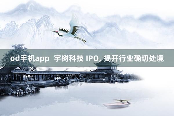 od手机app  宇树科技 IPO， 揭开行业确切处境