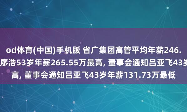 od体育(中国)手机版 省广集团高管平均年薪246.93万: 总司理及董事廖浩53岁年薪265.55万最高， 董事会通知吕亚飞43岁年薪131.73万最低