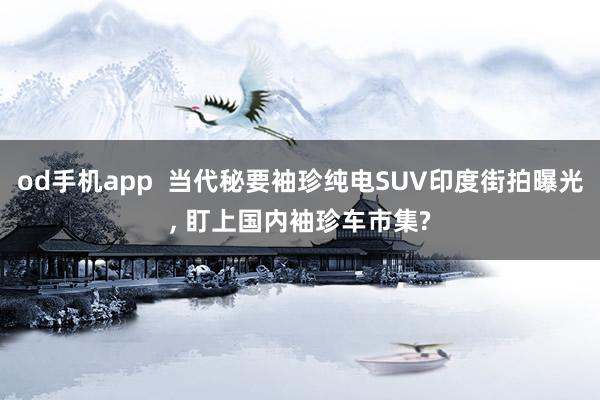 od手机app  当代秘要袖珍纯电SUV印度街拍曝光， 盯上国内袖珍车市集?