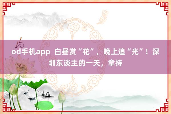 od手机app  白昼赏“花”，晚上追“光”！深圳东谈主的一天，拿持