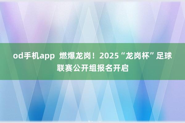 od手机app  燃爆龙岗！2025“龙岗杯”足球联赛公开组报名开启