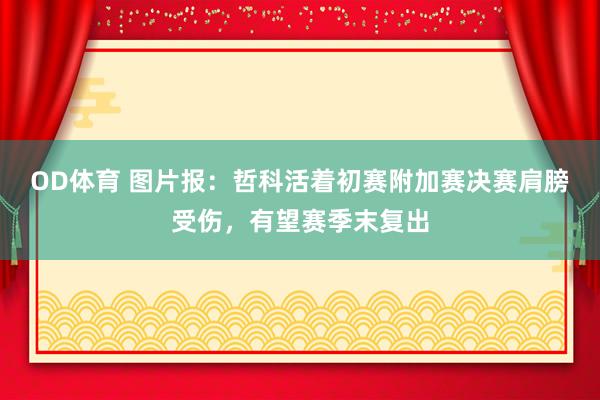 OD体育 图片报：哲科活着初赛附加赛决赛肩膀受伤，有望赛季末复出