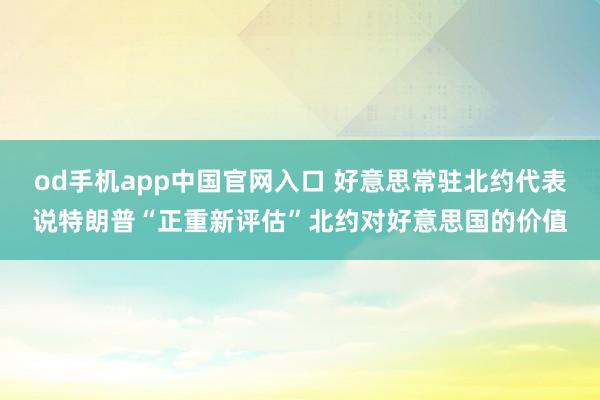 od手机app中国官网入口 好意思常驻北约代表说特朗普“正重新评估”北约对好意思国的价值