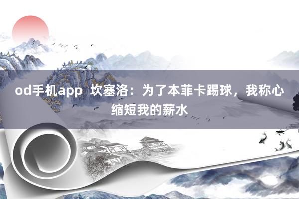 od手机app  坎塞洛：为了本菲卡踢球，我称心缩短我的薪水