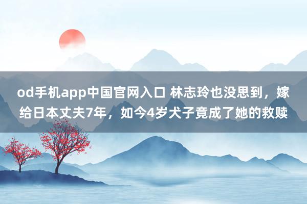 od手机app中国官网入口 林志玲也没思到，嫁给日本丈夫7年，如今4岁犬子竟成了她的救赎