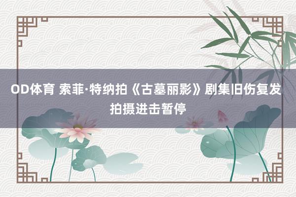 OD体育 索菲·特纳拍《古墓丽影》剧集旧伤复发 拍摄进击暂停