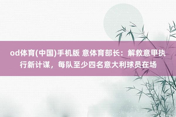 od体育(中国)手机版 意体育部长：解救意甲执行新计谋，每队至少四名意大利球员在场