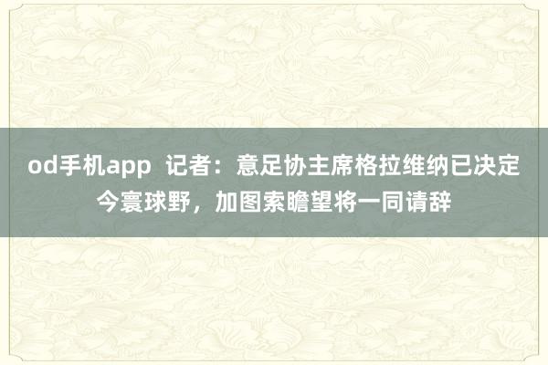 od手机app  记者：意足协主席格拉维纳已决定今寰球野，加图索瞻望将一同请辞