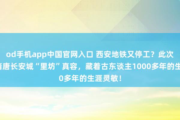 od手机app中国官网入口 西安地铁又停工？此次挖出的隋唐长安城“里坊”真容，藏着古东谈主1000多年的生涯灵敏！