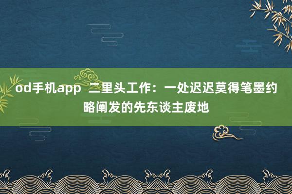 od手机app  二里头工作：一处迟迟莫得笔墨约略阐发的先东谈主废地