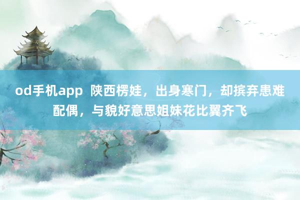 od手机app  陕西楞娃，出身寒门，却摈弃患难配偶，与貌好意思姐妹花比翼齐飞