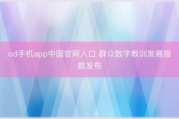 od手机app中国官网入口 群众数字教训发展指数发布