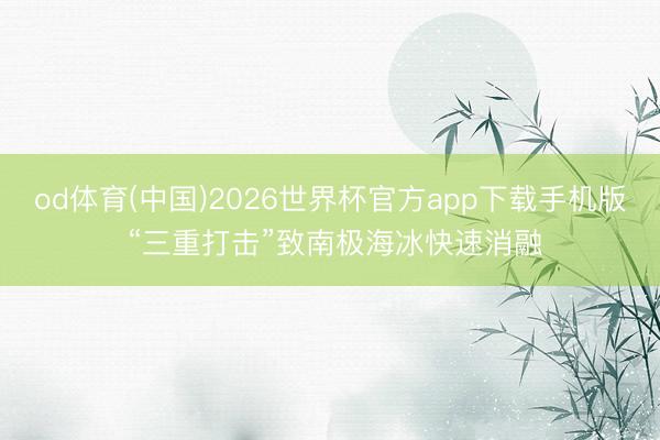 od体育(中国)2026世界杯官方app下载手机版 “三重打击”致南极海冰快速消融