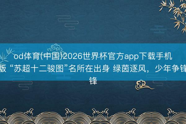 od体育(中国)2026世界杯官方app下载手机版 “苏超十二骏图”名所在出身 绿茵逐风，少年争锋