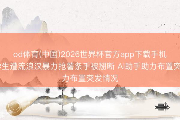 od体育(中国)2026世界杯官方app下载手机版 留学生遭流浪汉暴力抢薯条手被掰断 AI助手助力布置突发情况