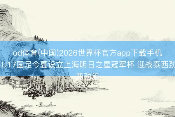 od体育(中国)2026世界杯官方app下载手机版 U17国足今夏设立上海明日之星冠军杯 迎战泰西劲旅