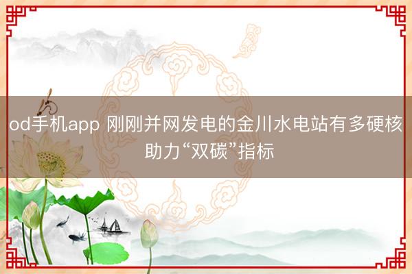 od手机app 刚刚并网发电的金川水电站有多硬核 助力“双碳”指标