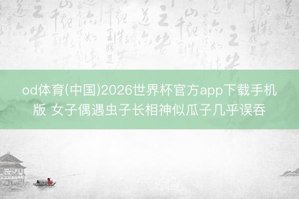 od体育(中国)2026世界杯官方app下载手机版 女子偶遇虫子长相神似瓜子几乎误吞
