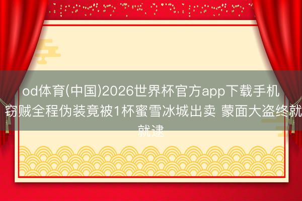 od体育(中国)2026世界杯官方app下载手机版 窃贼全程伪装竟被1杯蜜雪冰城出卖 蒙面大盗终就逮