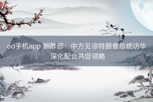 od手机app 酬酢部：中方见谅特朗普总统访华 深化配合共促领略