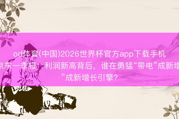 od体育(中国)2026世界杯官方app下载手机版 拆解京东一季报：利润新高背后，谁在勇猛“带电”成新增长引擎？
