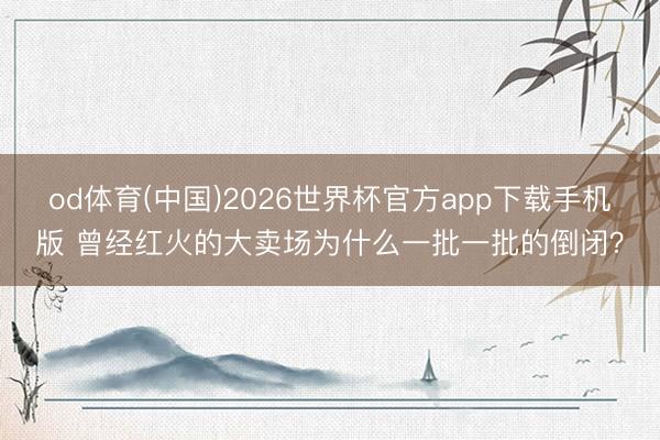 od体育(中国)2026世界杯官方app下载手机版 曾经红火的大卖场为什么一批一批的倒闭？
