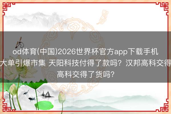 od体育(中国)2026世界杯官方app下载手机版 28亿大单引爆市集 天阳科技付得了款吗？汉邦高科交得了货吗？