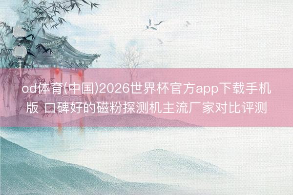 od体育(中国)2026世界杯官方app下载手机版 口碑好的磁粉探测机主流厂家对比评测