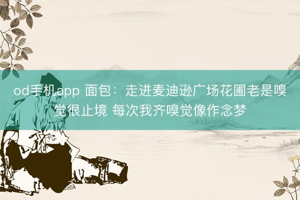 od手机app 面包：走进麦迪逊广场花圃老是嗅觉很止境 每次我齐嗅觉像作念梦