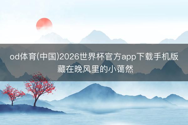 od体育(中国)2026世界杯官方app下载手机版 藏在晚风里的小蔼然