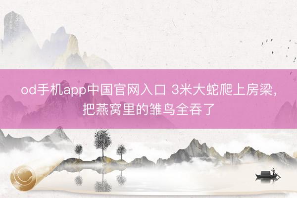 od手机app中国官网入口 3米大蛇爬上房梁，把燕窝里的雏鸟全吞了