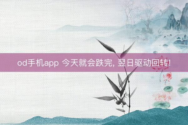 od手机app 今天就会跌完， 翌日驱动回转!