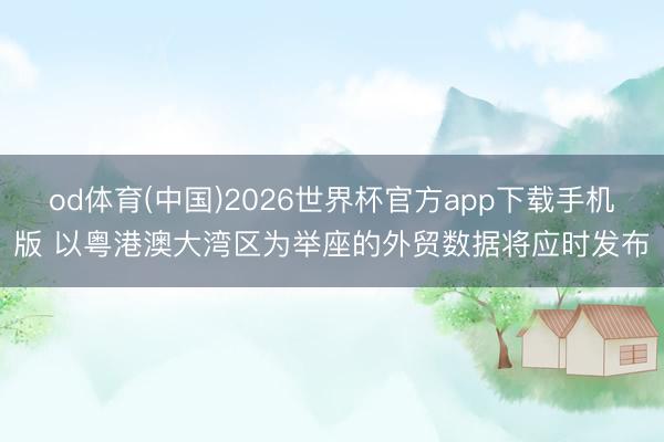 od体育(中国)2026世界杯官方app下载手机版 以粤港澳大湾区为举座的外贸数据将应时发布