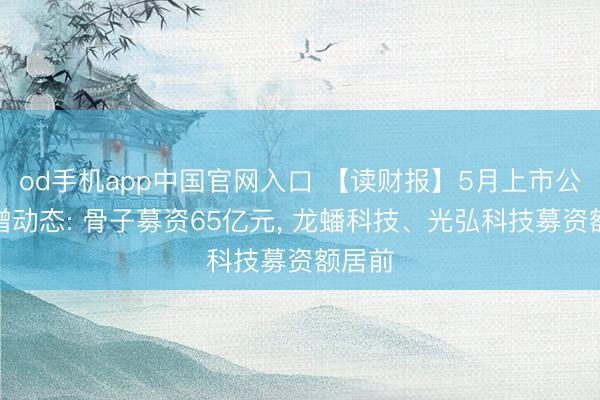 od手机app中国官网入口 【读财报】5月上市公司定增动态: 骨子募资65亿元, 龙蟠科技、光弘科技募资额居前