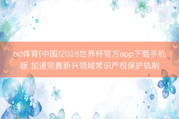 od体育(中国)2026世界杯官方app下载手机版 加速完善新兴领域常识产权保护轨制