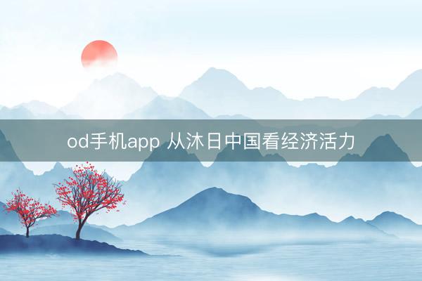 od手机app 从沐日中国看经济活力