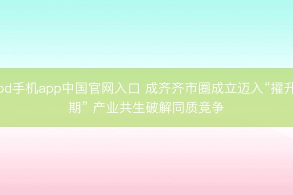 od手机app中国官网入口 成齐齐市圈成立迈入“擢升期” 产业共生破解同质竞争