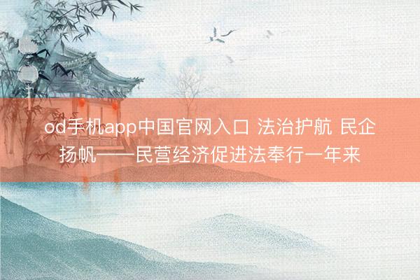 od手机app中国官网入口 法治护航 民企扬帆——民营经济促进法奉行一年来