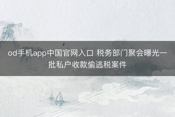 od手机app中国官网入口 税务部门聚会曝光一批私户收款偷逃税案件