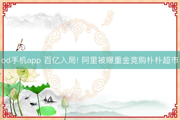 od手机app 百亿入局! 阿里被曝重金竞购朴朴超市