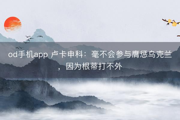 od手机app 卢卡申科：毫不会参与膺惩乌克兰，因为根蒂打不外