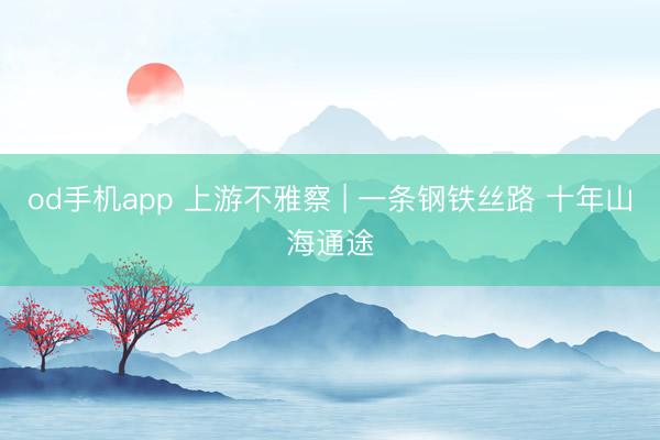 od手机app 上游不雅察 | 一条钢铁丝路 十年山海通途