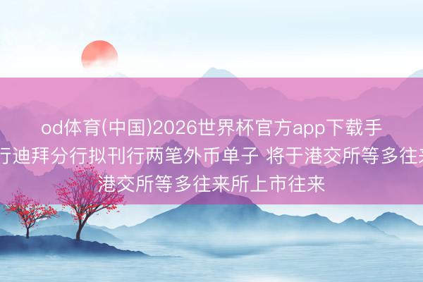 od体育(中国)2026世界杯官方app下载手机版 工商银行迪拜分行拟刊行两笔外币单子 将于港交所等多往来所上市往来