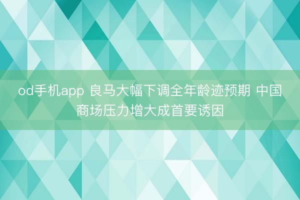od手机app 良马大幅下调全年龄迹预期 中国商场压力增大成首要诱因