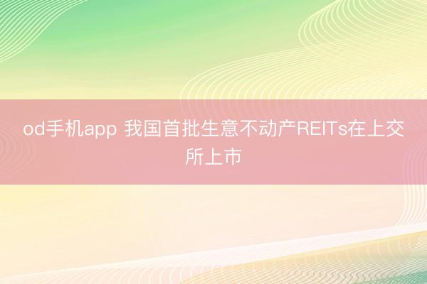 od手机app 我国首批生意不动产REITs在上交所上市