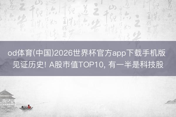 od体育(中国)2026世界杯官方app下载手机版 见证历史! A股市值TOP10， 有一半是科技股